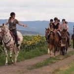 Accompagnateur / Accompagnatrice de tourisme équestre