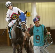 Jockey - lad driver