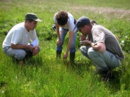 Ingénieur d'études des milieux naturels