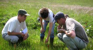 Ingénieur d'études des milieux naturels